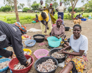 Kenyan women financial inclusion