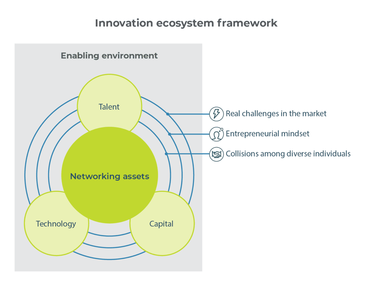 Innovation Ecosystems In Sub-Saharan Africa: How To Enable Flourishing ...