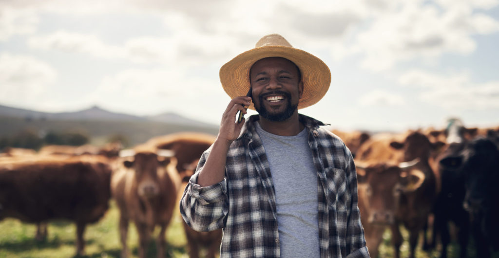 Shot of a mature man using a smartphone while working on a cow farm